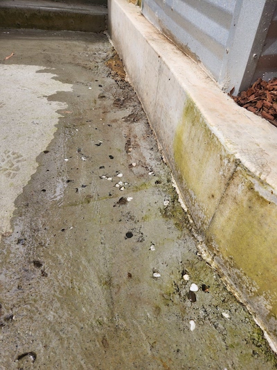 Water-damaged concrete before resurfacing.
