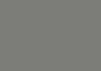 Trunk Grey