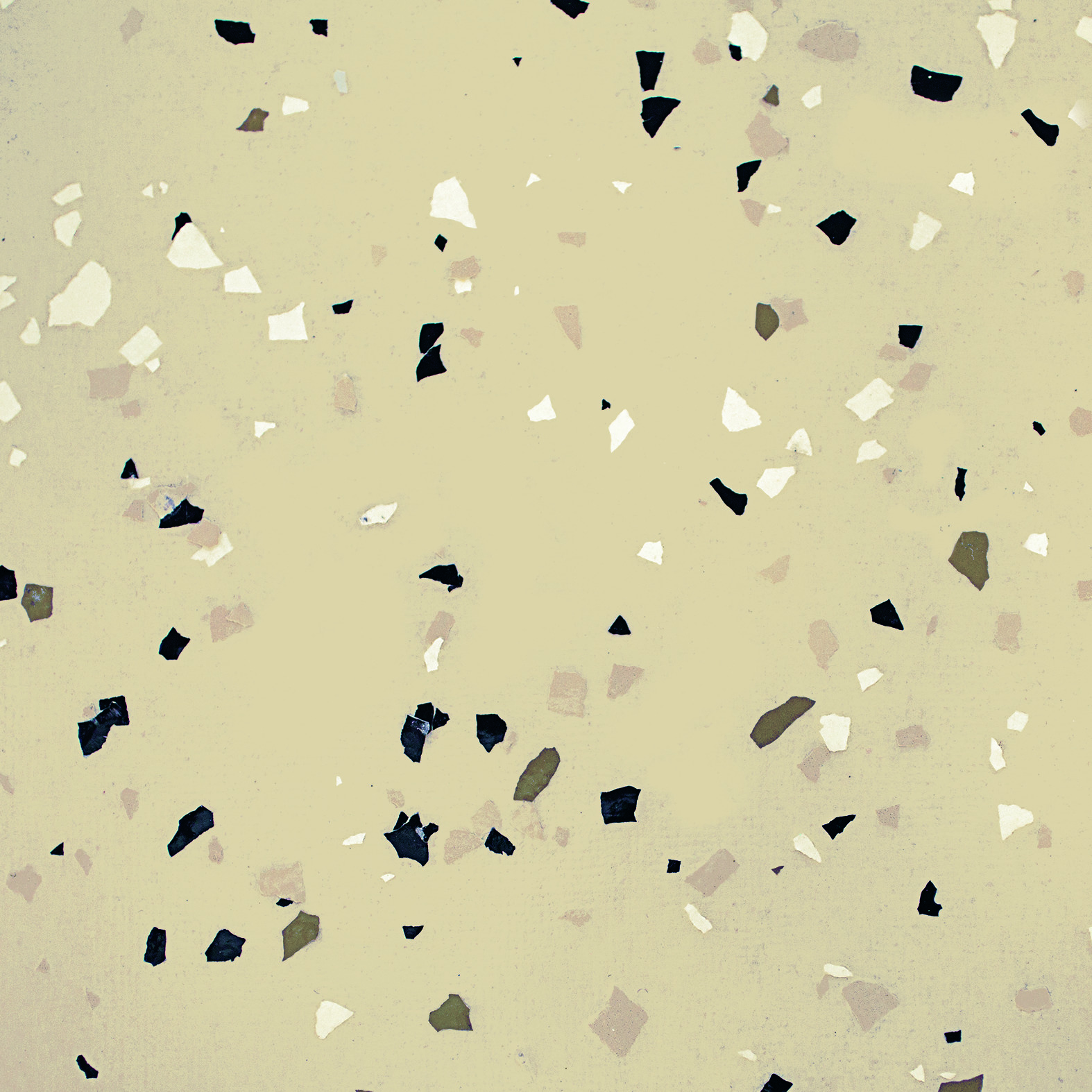 Tawny Sand on Beige Tusk